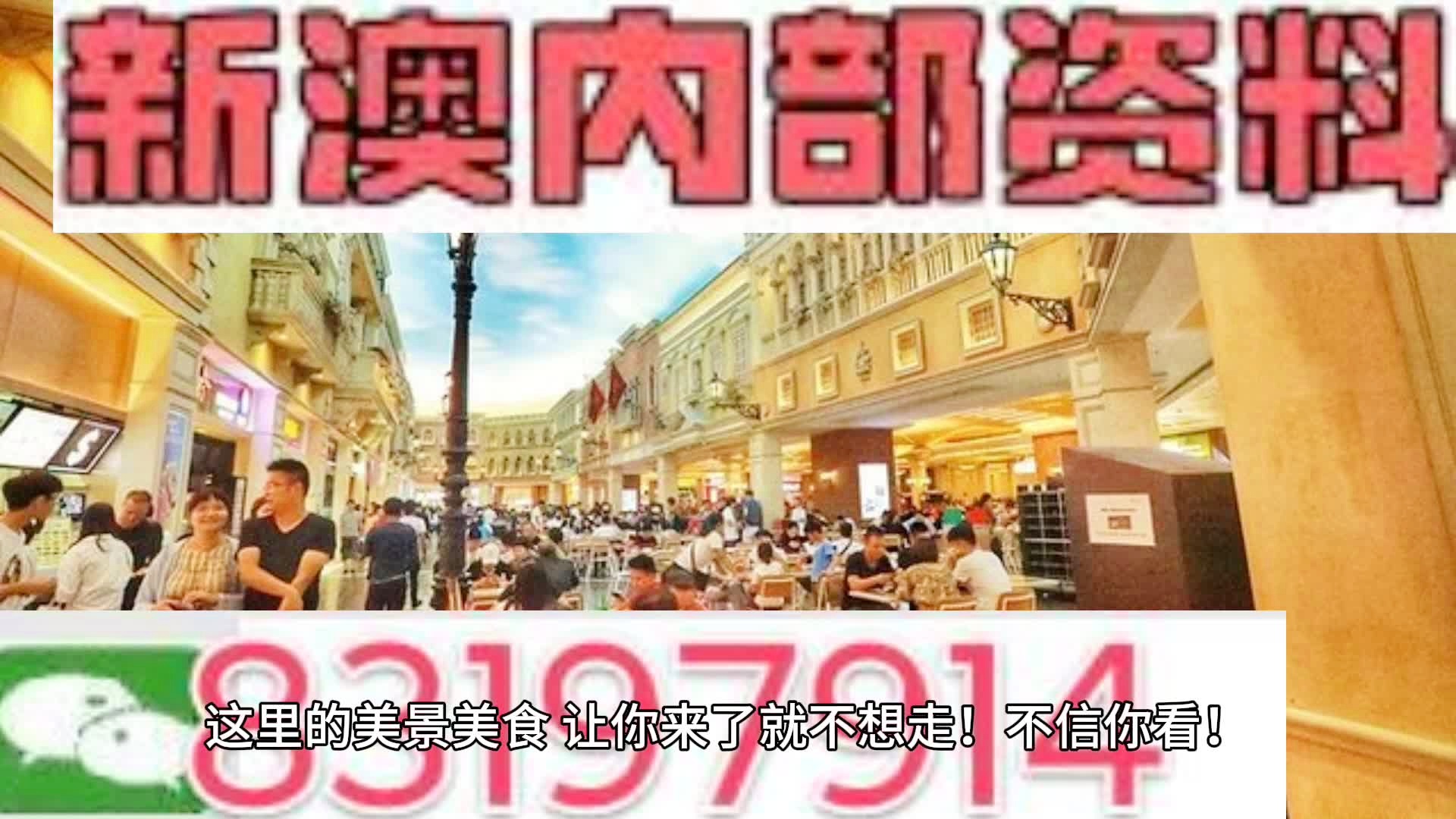 新澳门王中王资料公开，精准解答解释落实_uf23.78.04