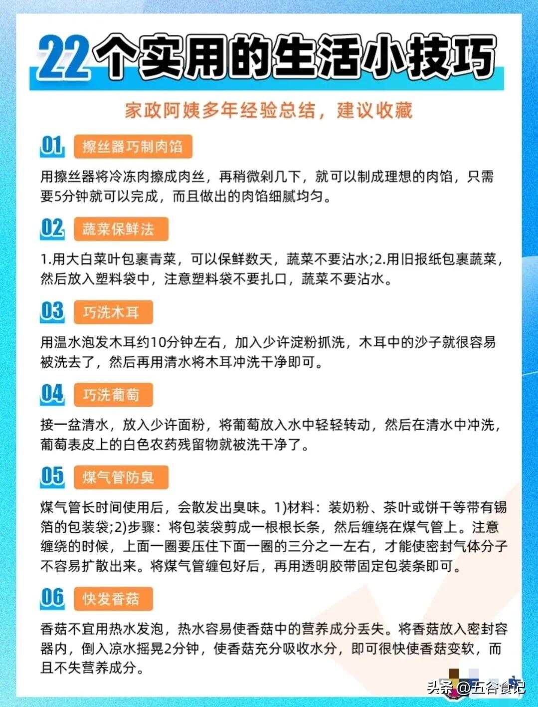 生活小妙招陈南，日常智慧与实用技巧总汇