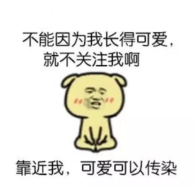 生活小妙招，如何智慧地与狗狗互动相处之道